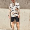 Camisa Manga Corta - Zebra